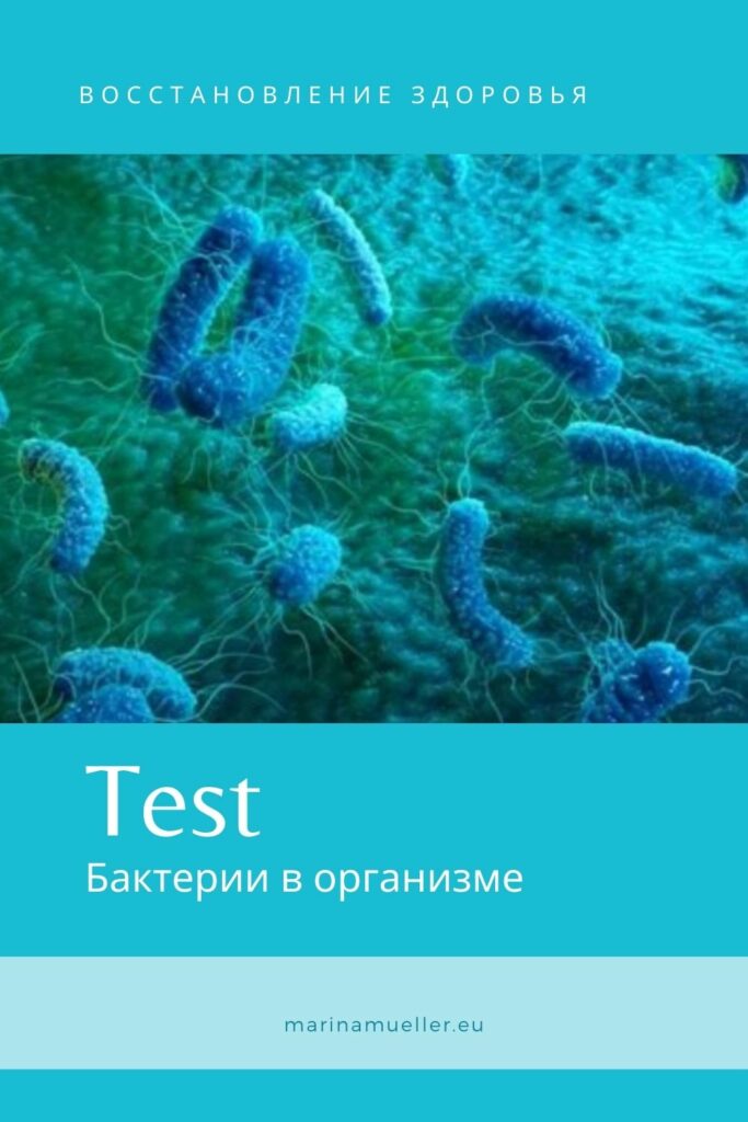 Бактерии в организме человека